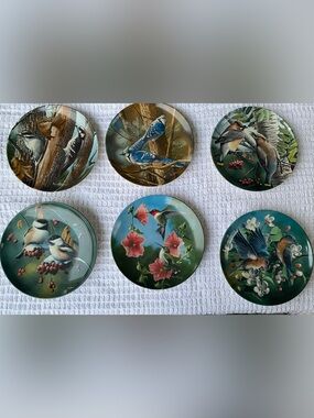 6pc Birds of Your Garden plates